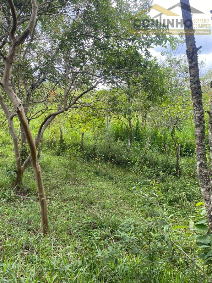 WhatsApp Image 2026-01-29 at 20.11.54 (1).jpeg